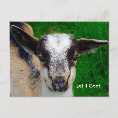Funny Goat Parody Postcard