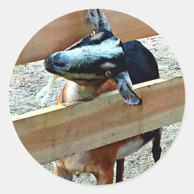 Funny Goat - Sheet of Stickers (Front)