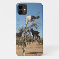 Funny goats in a tree