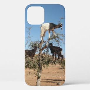 Funny goats in a tree Case-Mate iPhone case