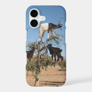 Funny goats in a tree iPhone 17 case