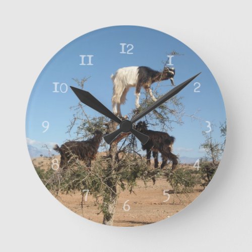 Funny goats in a tree round clock