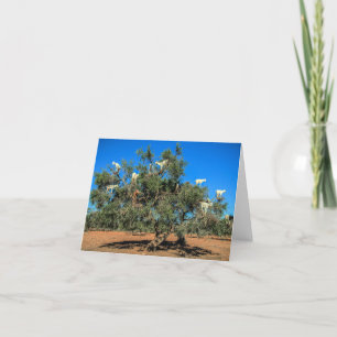 Funny Goats in Trees Card