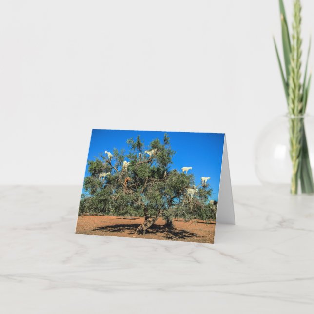 Funny Goats in Trees Card (Front)