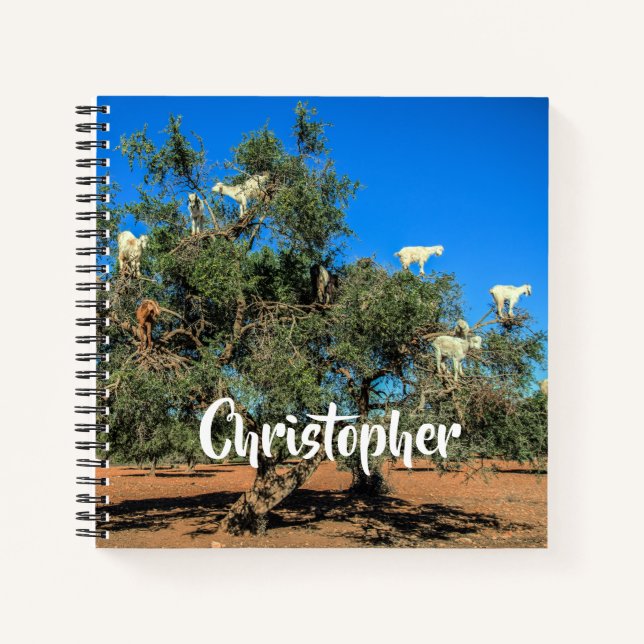 Funny Goats in Trees Morocco Personalized Name Notebook (Front)