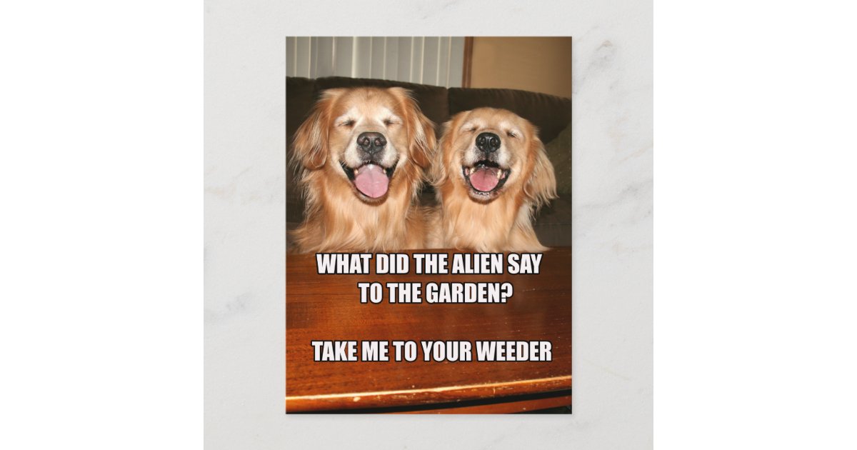 Funny Golden Retriever Alien Joke Meme Postcard | Zazzle