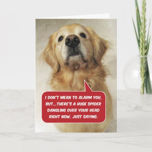 Funny Golden Retriever Arachnophobia_ Birthday Card