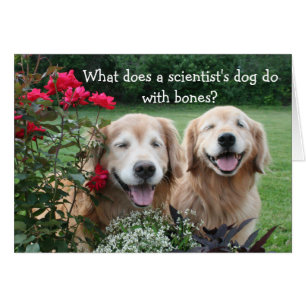 Funny Golden Retriever Barium Scientist Joke Cards