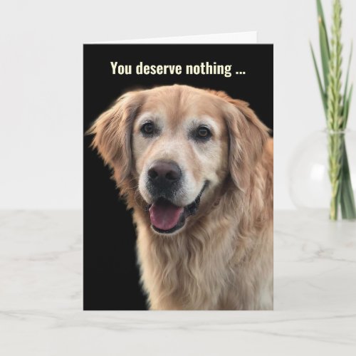 Funny Golden Retriever Birthday Card