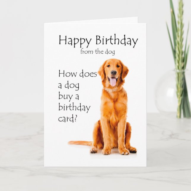 Funny Golden Retriever Birthday Humor Card (Front)