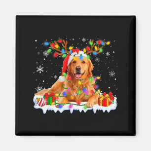 Funny Golden Retriever Christmas Santa Hat Reindee Magnet