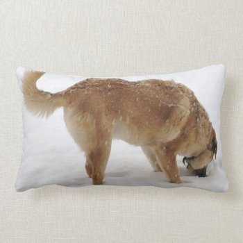 Funny Golden Retriever Dog Christmas Snow Western Lumbar Pillow by She_Wolf_Medicine at Zazzle