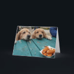 Funny Golden Retriever Dogs Birthday Wishes Card<br><div class="desc">This card features a photograph of two golden retriever dogs staring longingly at a plate of mozzarella sticks.  Inside text reads:  May all your birthday wishes come true.</div>