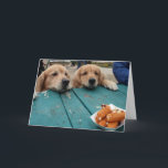 Funny Golden Retriever Dogs Birthday Wishes Card<br><div class="desc">This card features a photograph of two golden retriever dogs staring longingly at a plate of mozzarella sticks.  Inside text reads:  May all your birthday wishes come true.</div>