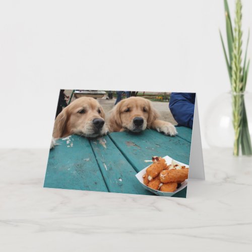 Funny Golden Retriever Dogs Birthday Wishes Card