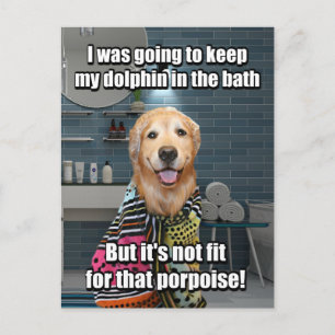 Funny Golden Retriever Dolphin Porpoise Bath Joke Postcard