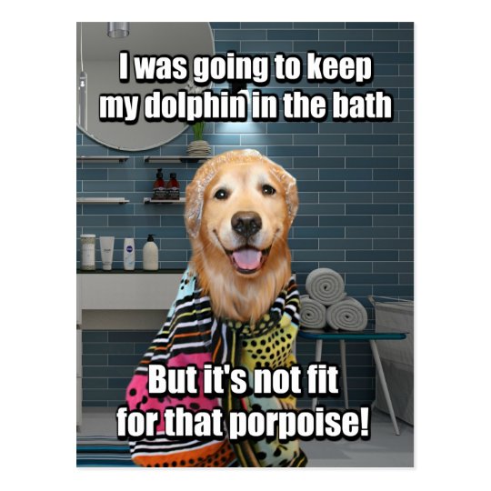 Funny Golden Retriever Dolphin Porpoise Bath Joke Postcard