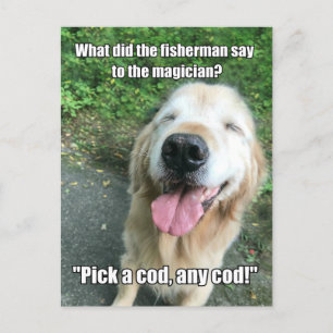 Funny Golden Retriever Fisherman Joke Meme Postcard