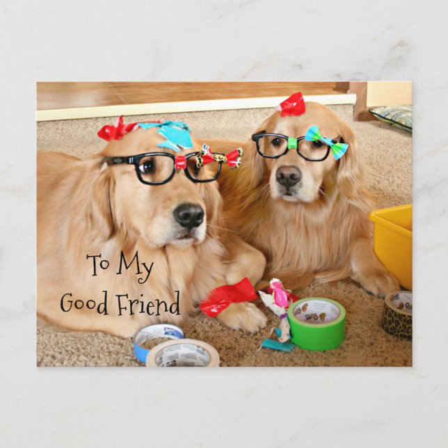 Funny Golden Retriever Friendship Card (Front)