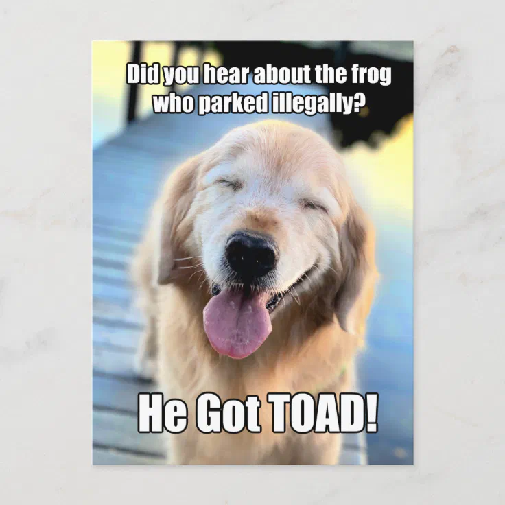 Funny Golden Retriever Frog Joke Meme Postcard | Zazzle