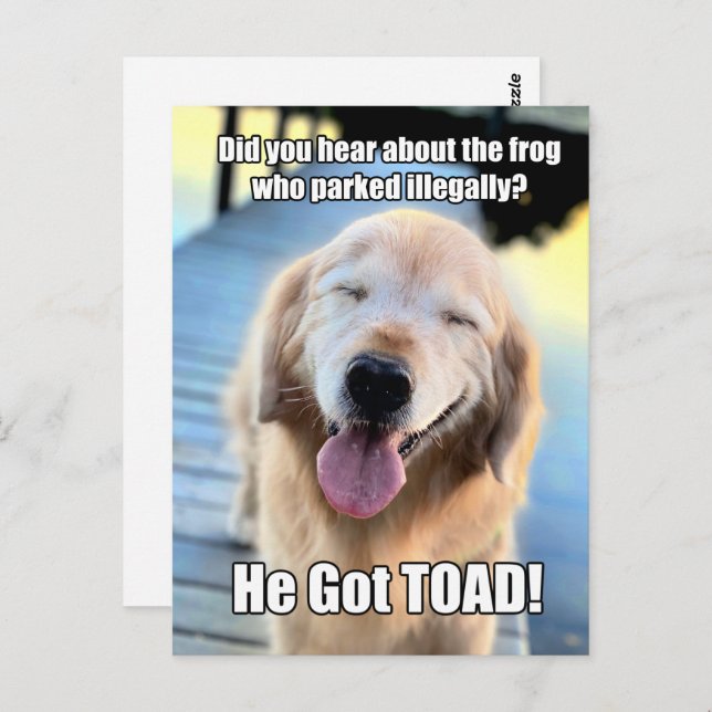 Funny Golden Retriever Frog Joke Meme Postcard Zazzle