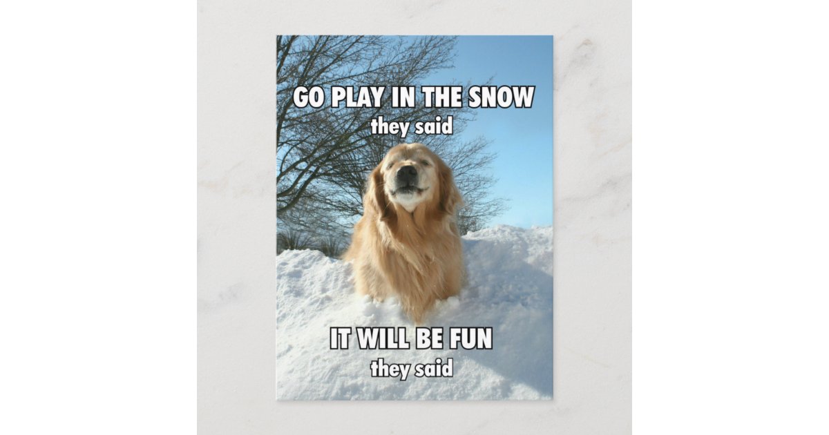 Funny Golden Retriever Go Play in the Snow Meme Postcard | Zazzle