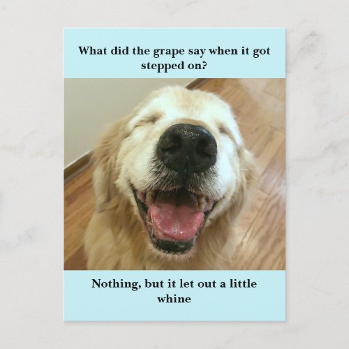 Funny Golden Retriever Grape Joke Meme Postcard