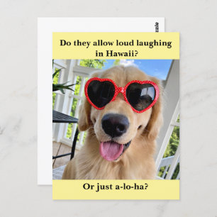 Funny Golden Retriever Hawaii Joke Meme Postcard