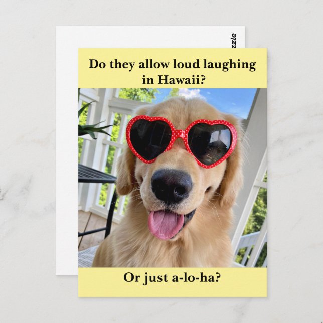 Funny Golden Retriever Hawaii Joke Meme Postcard (Front/Back)