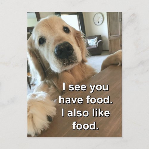 Funny Golden Retriever  I See You Have Food Meme Postcard