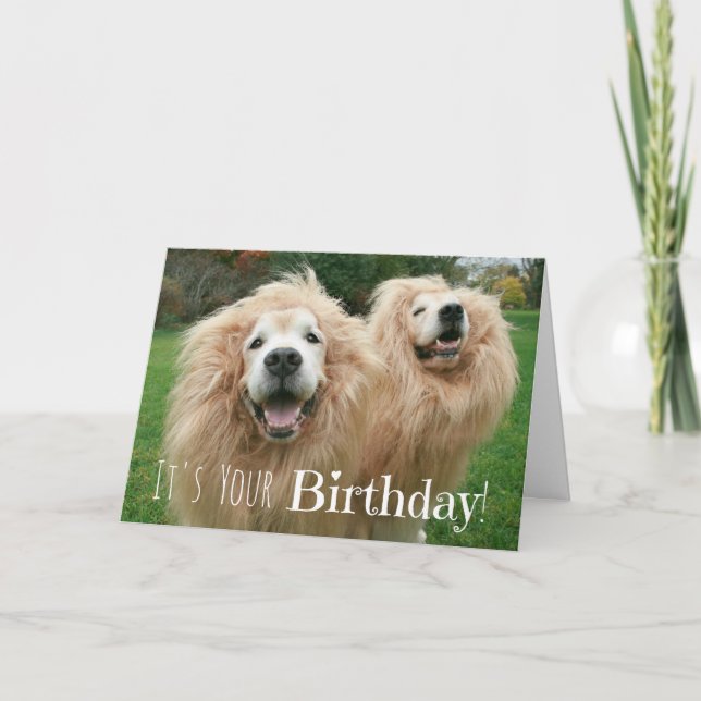 Funny Golden Retriever Lion Dogs Birthday Card (Front)