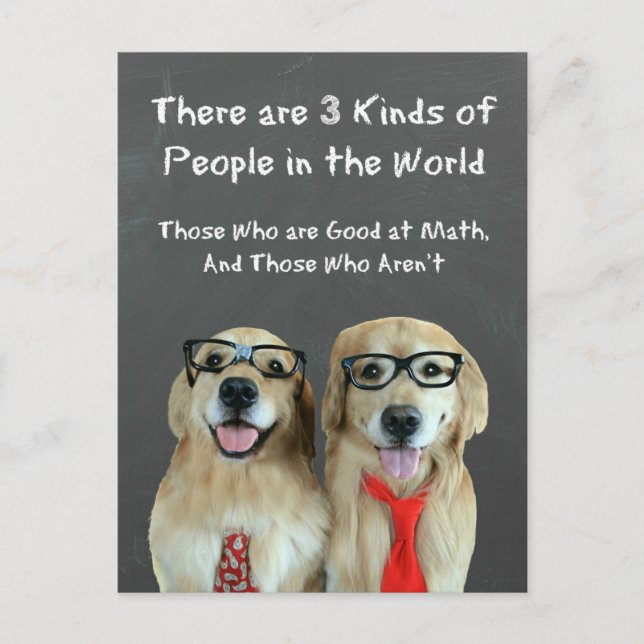Funny Golden Retriever Math Joke Postcard (Front)