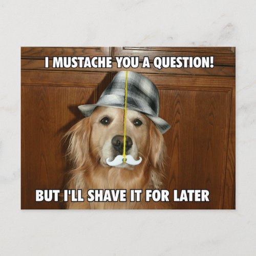 Funny Golden Retriever Mustache You a Question Postcard