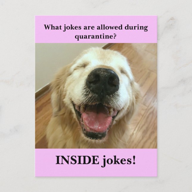 Funny Golden Retriever Quarantine Joke Meme Postcard (Front)