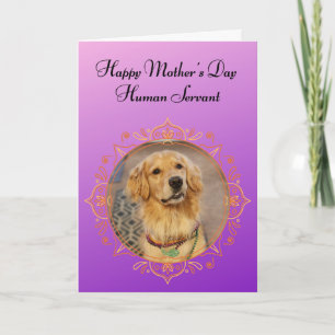 Funny Golden Retriever Rules the House Mothers Day Card
