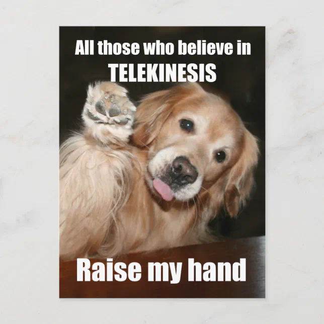 Funny Golden Retriever Telekinesis Joke Postcard Zazzle