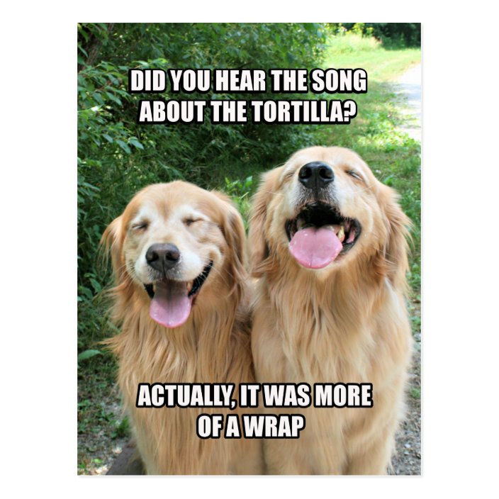 Funny Golden Retriever Tortilla Joke Meme Postcard