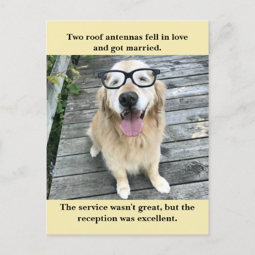 Funny Golden Retriever Wedding Reception Joke Meme Announcement Postcard