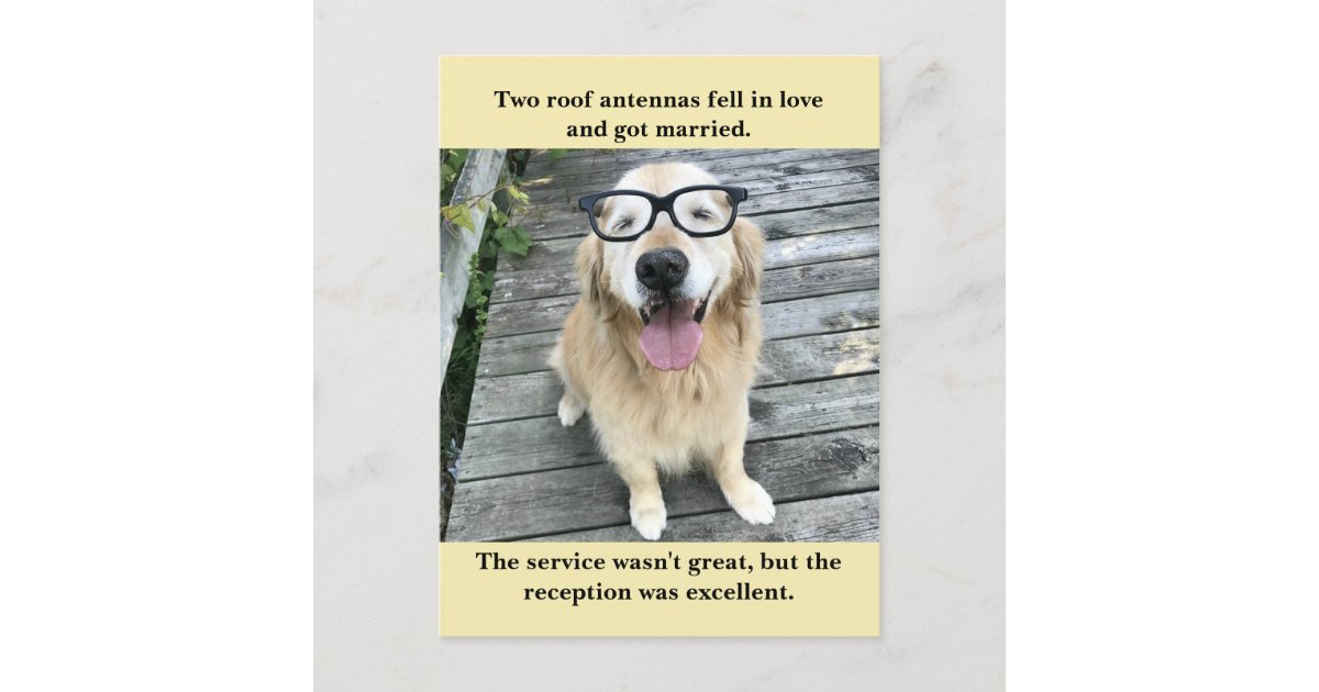 Funny Golden Retriever Wedding Reception Joke Meme Announcement Postcard Zazzle Com