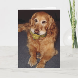 Funny Golden Retriever with Balls  Birthday Card