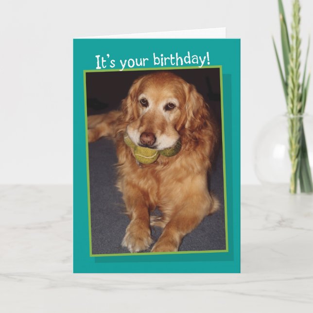 Funny Golden Retriever with Balls  Birthday Card (Front)