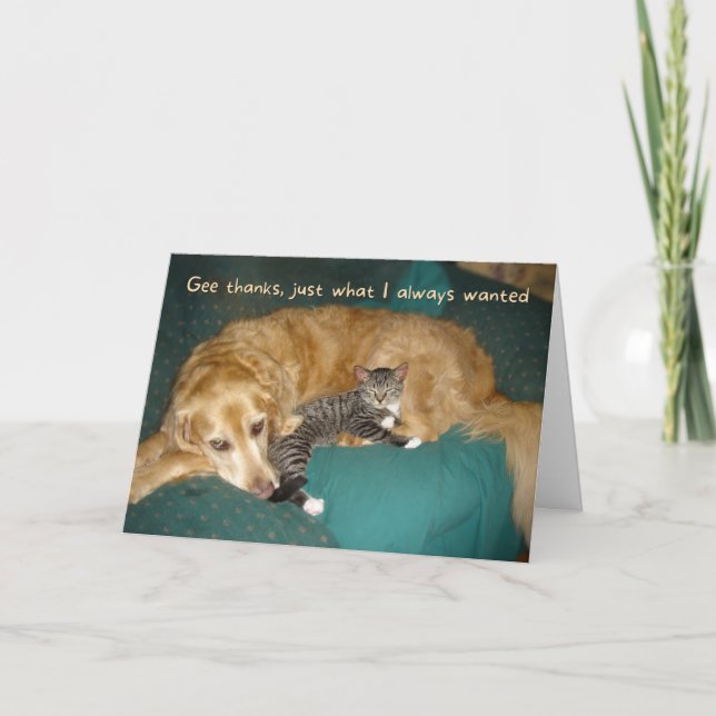 Funny Golden Retriever with Kitten Birthday Card (Front)