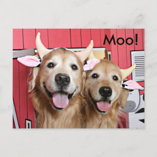 Funny Golden Retrievers in Cow Costumes Halloween Postcard