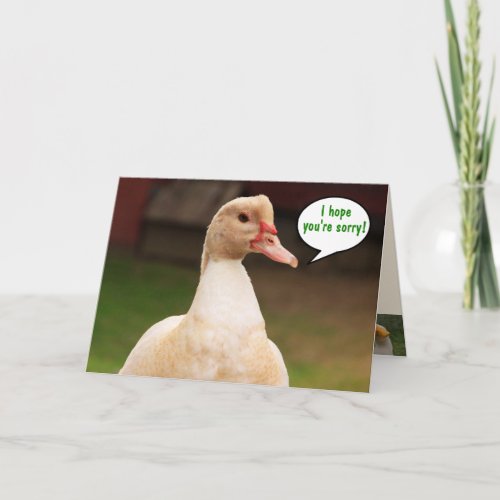 Funny Goose Im Sorry Card