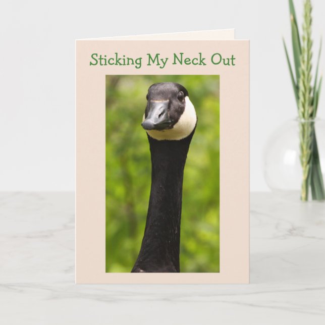 Funny Goose Joke Birthday Card (Front)