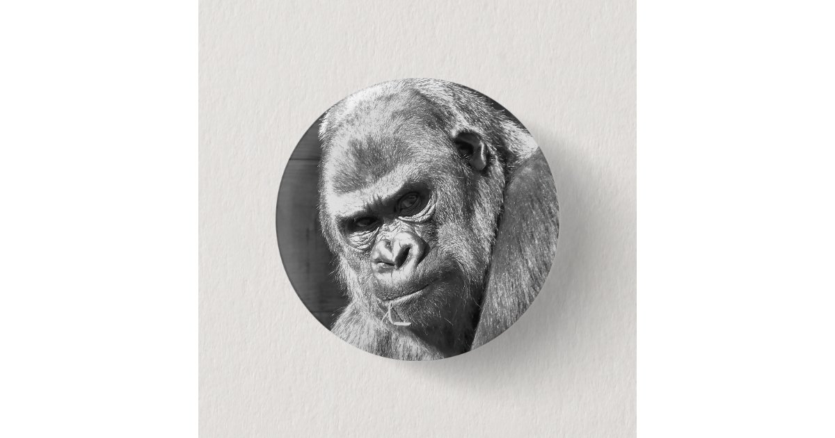 Reject Humanity Return to Monke Evolution Funny Chimp Meme - Reject  Humanity - Pin