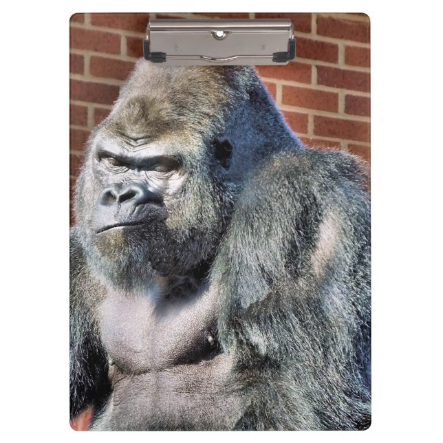 FUNNY GORILLA CLIPBOARD (Front)