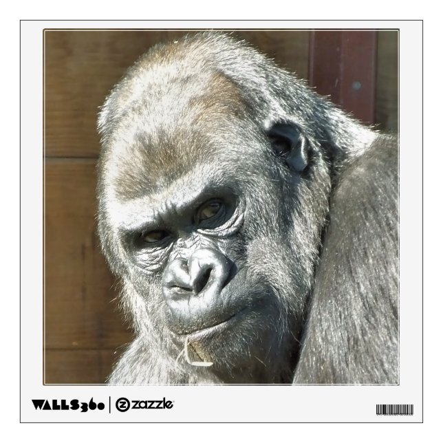 FUNNY GORILLA WALL DECAL (Front)