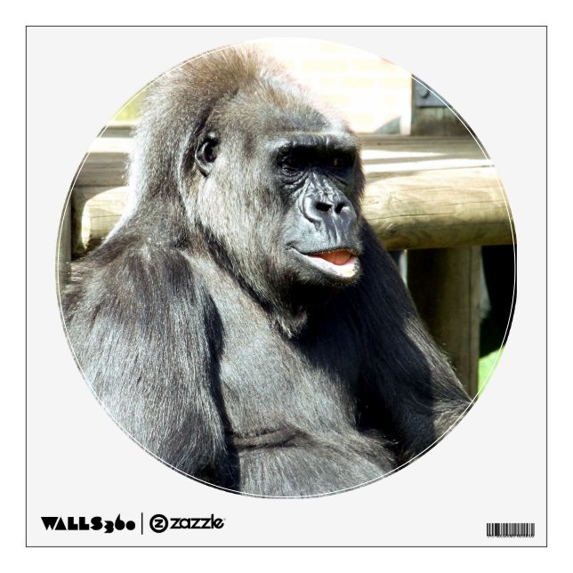 FUNNY GORILLA WALL DECAL (Front)