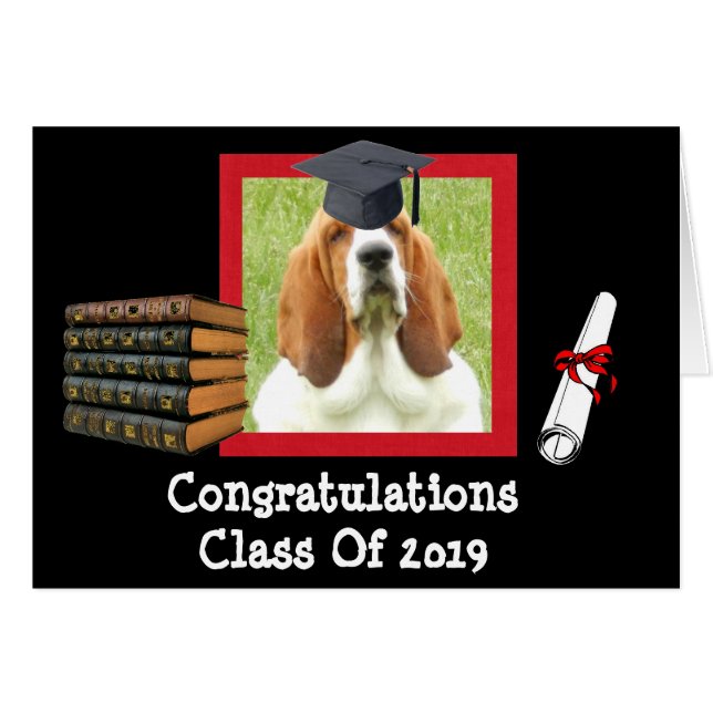 Funny Graduation Card for 2019 with Basset Hounds (Front Horizontal)
